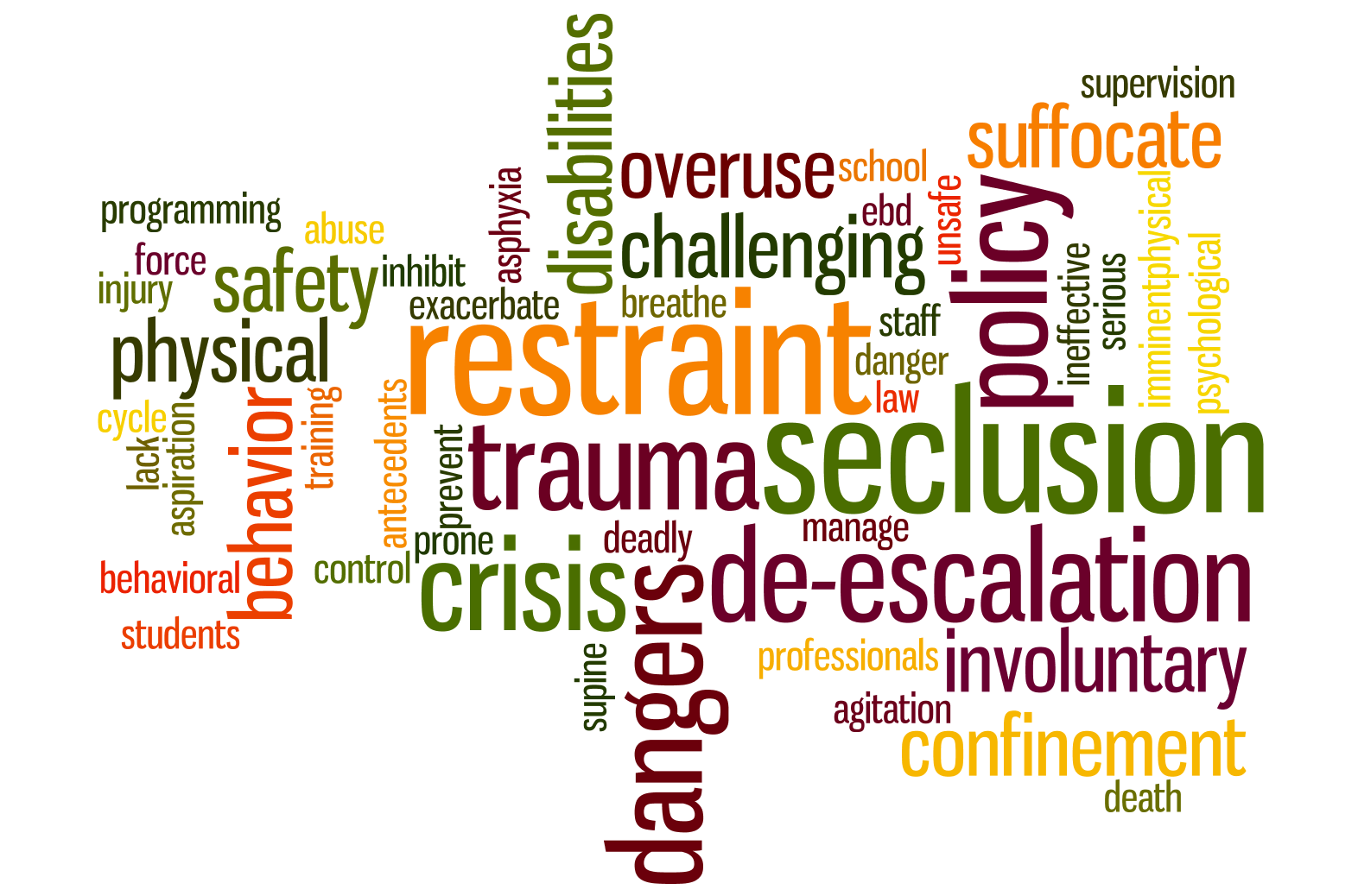 Physical Restraint & Seclusion Word Cloud