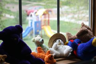 Teddy bears in window