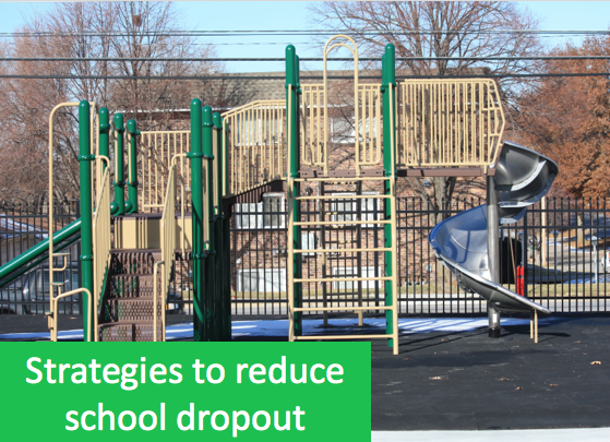 Reducing school dropout